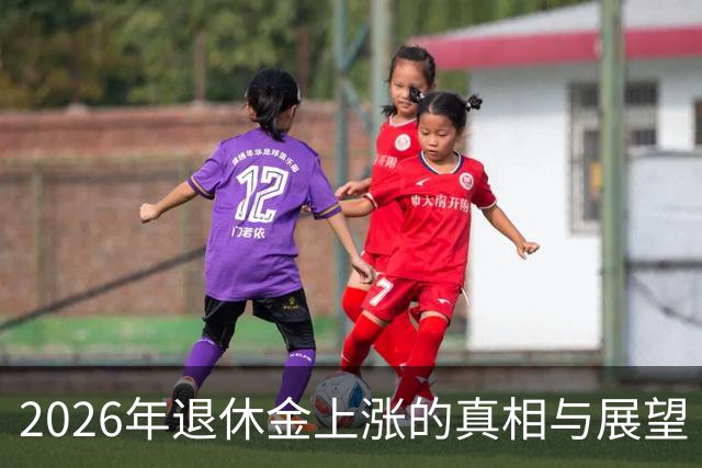 2026年退休金上涨的真相与展望
